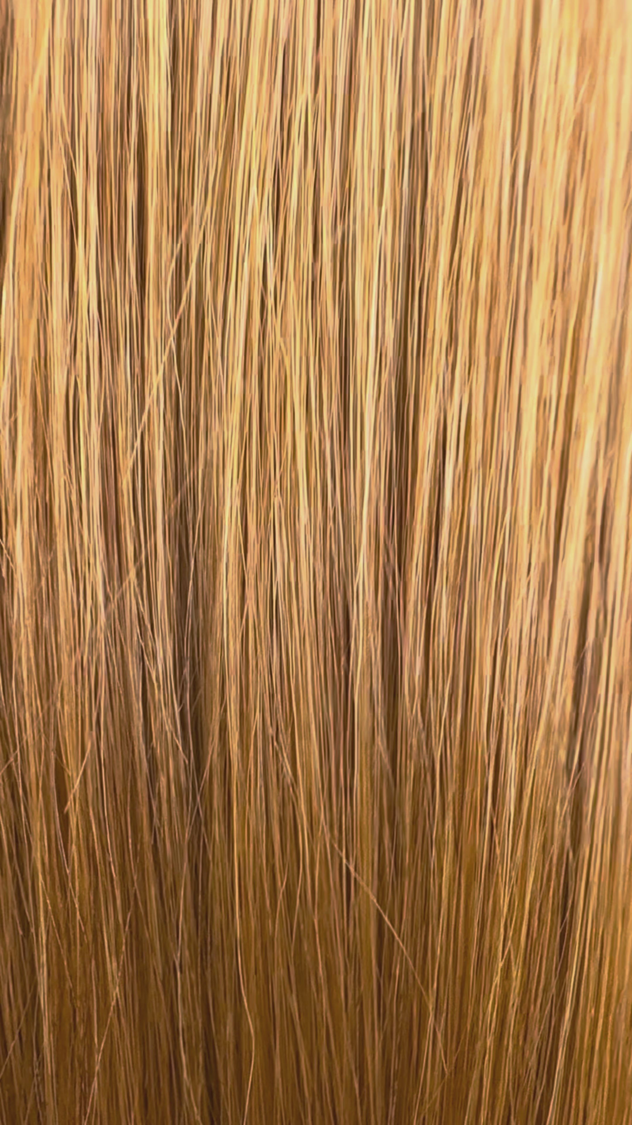 Saffron Flame 7.54 Tape-In Hair Extensions